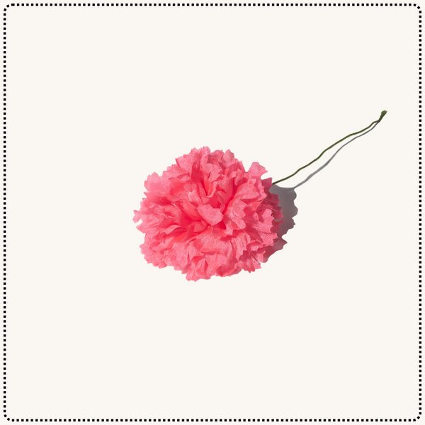 Spring Flowers