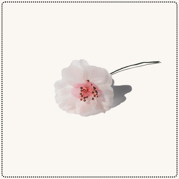Spring Flowers