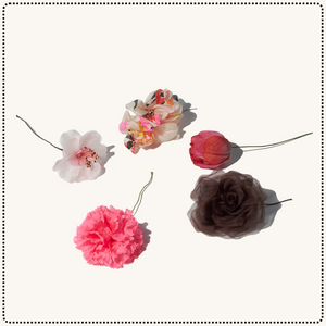 Spring Flowers