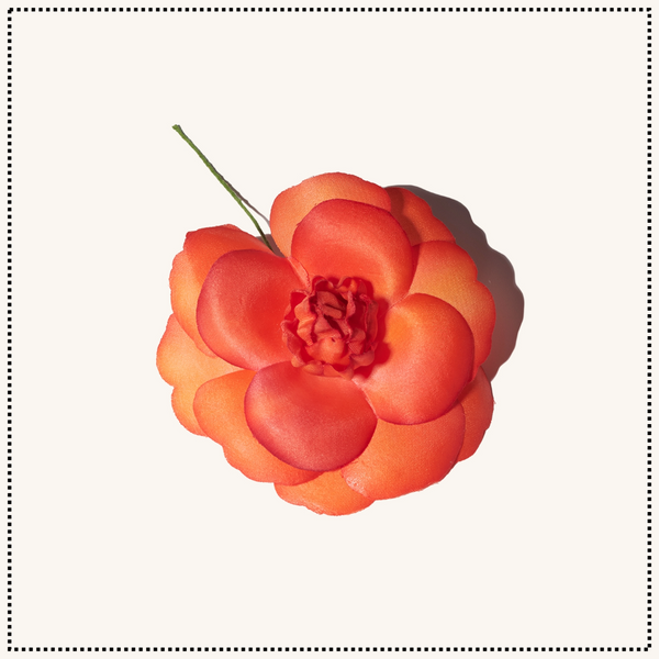 Summer Flowers