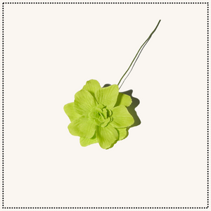Summer Flowers