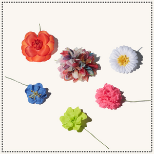 Summer Flowers