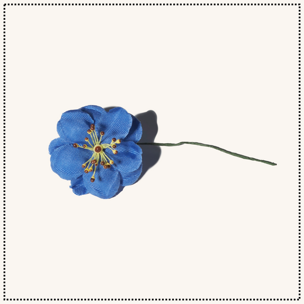 Summer Flowers