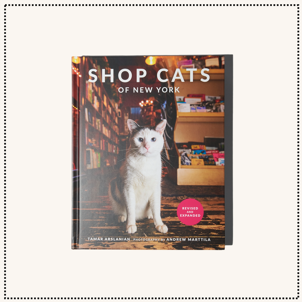 Shop Cats of New York